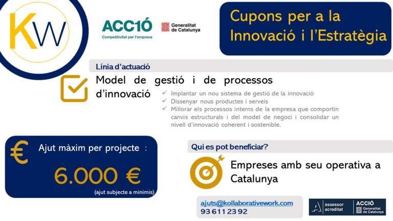 Equema venda ajuts 1 - Cupons per a la innovacio i L estrategia