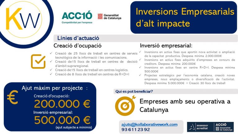 Equema venda ajuts 3 - Inversions empresarials d alt impacte